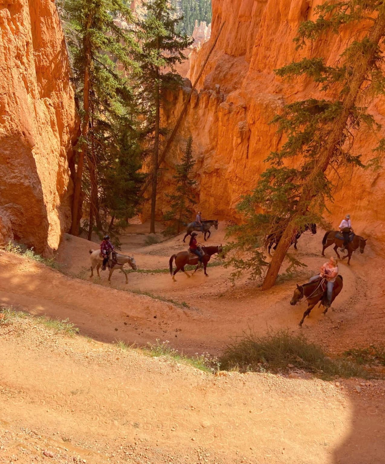 Bryce Canyon